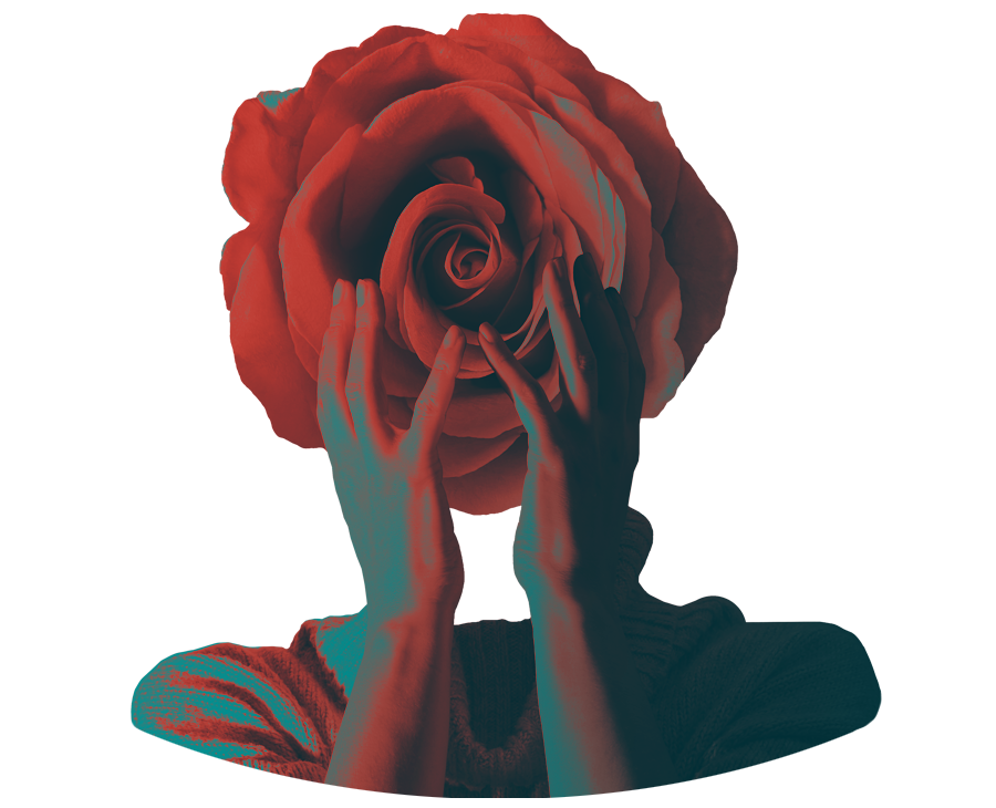 Diseño